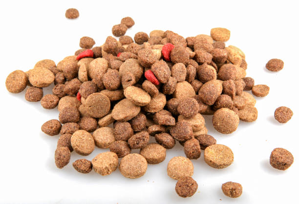 istock Dried pet food 1055656188