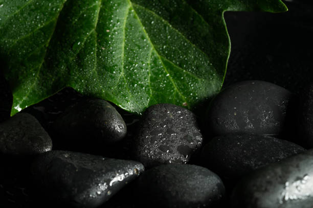 istock black massage stones and plants 1055659206