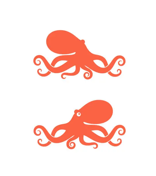 Vector illustration of Octopus logo. Isolated octopus on white background