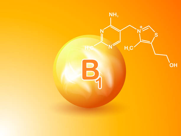 ilustraciones, imágenes clip art, dibujos animados e iconos de stock de signo de nutrición vector concepto. el poder de la vitamina b1. fórmula química - formula 1