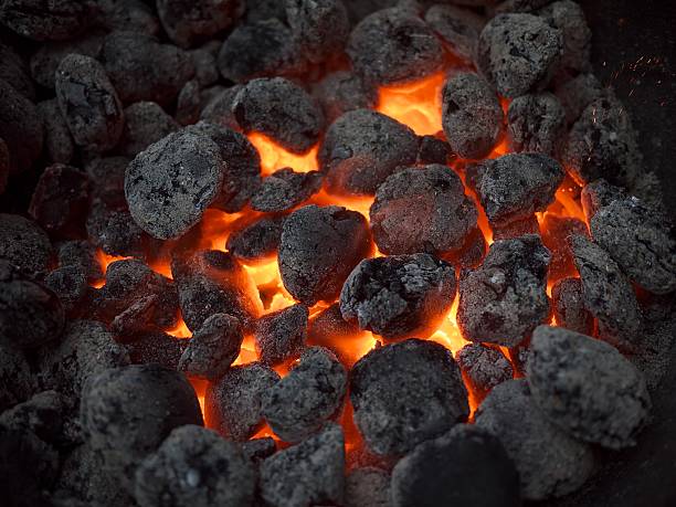 istock Charcoal on fire in a BBQ (barbeque) grill 105566547