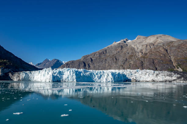 istock Glacier Bay National Park and Preserve, Alaska 1055666916