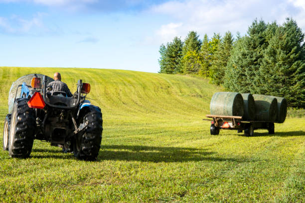 istock A farmer on a tractor loading hay bales on a trailer in a field 1055674028