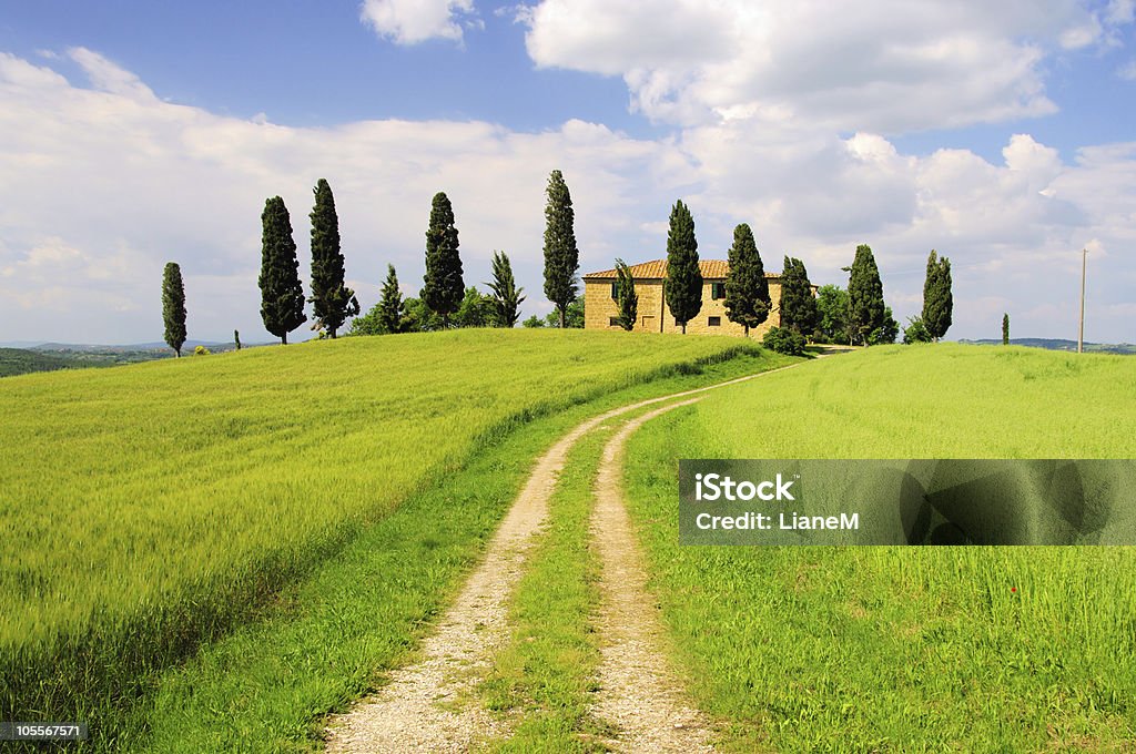 Podere - Lizenzfrei Agrarbetrieb Stock-Foto