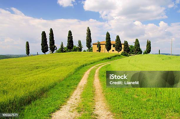 Podere Stockfoto und mehr Bilder von Agrarbetrieb - Agrarbetrieb, Anhöhe, Baum