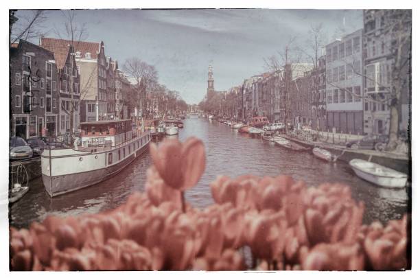 This photograph is worn out with digital technology effects.