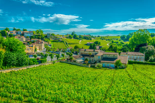 istock Vineyards at Saint Emilion, France 1055681084