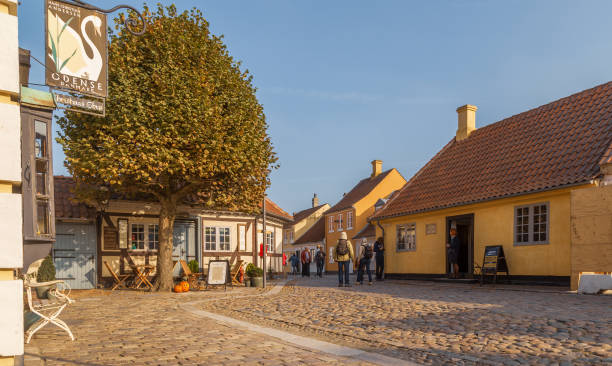 80+ Hans Christian Andersen Museum Stock Photos, Pictures