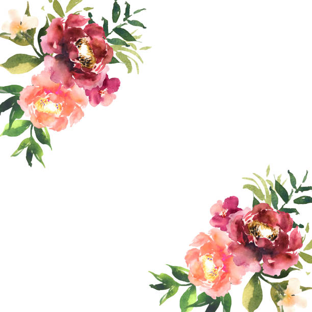 1,500+ Carnation Watercolor Stock Photos, Pictures & Royalty-Free ...
