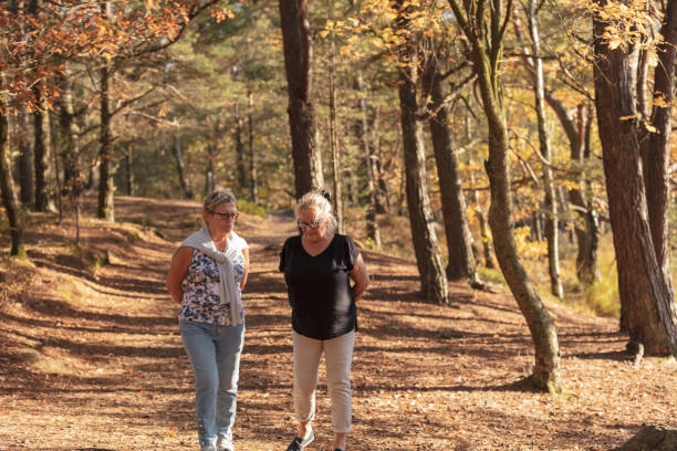 istock Senior ladies walking in forest 1055694124