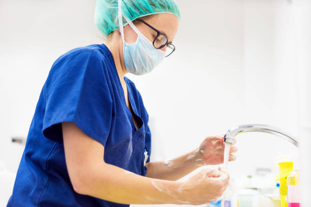 ветеринарный хирург мыть руки перед операцией - sterilize стоковые фото и изображения