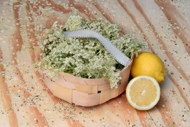 istock Elderflower syrup on jar with lemon 1055700852
