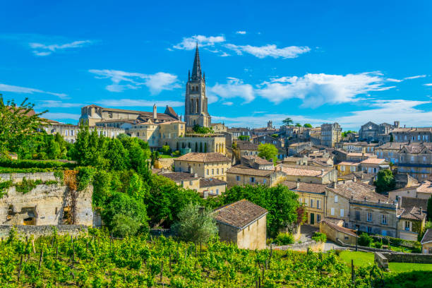 Aerial view of French village Saint Emilion dominated by spire of the monolithic church Aerial view of French village Saint Emilion dominated by spire of the monolithic church saint emilion photos stock pictures, royalty-free photos & images