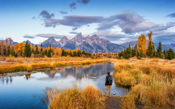 Hiker in Grand Teton National Park USA Stock photograph of hiker looking at view at Schwabacher Landing in Grand Teton National Park, Wyoming, USA, at dawn. jackson hole photos stock pictures, royalty-free photos & images