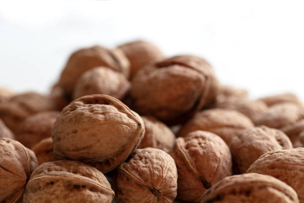 Close up view of Fresh Natural Walnuts on White Background which are rich source of omega and healty