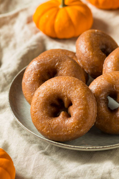 istock Homemade Pumpkin Spice Donuts 1055707614