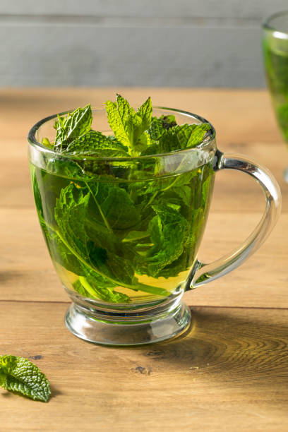 istock Homemade Hot Fresh Mint Tea 1055710940