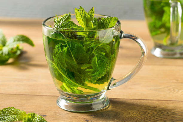 istock Homemade Hot Fresh Mint Tea 1055711146