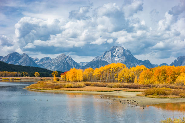 oxbow bend et mont moran dans le parc national de grand teton usa - wyoming teton range jackson hole autumn photos et images de collection