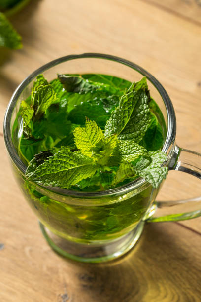 istock Homemade Hot Fresh Mint Tea 1055711942