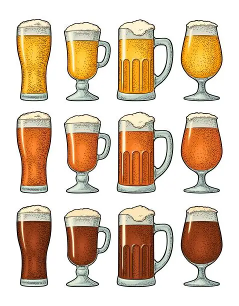 Vector illustration of Four different glasses with three types beer. Vintage color engraving