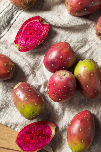 organic red prickly pears - cactaceous imagens e fotografias de stock