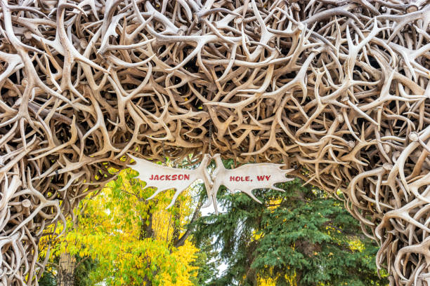 Antler arch in downtown Jackson Wyoming USA Stock photograph of one of the Antler arches in downtown Jackson, Wyoming, USA. jackson hole photos stock pictures, royalty-free photos & images