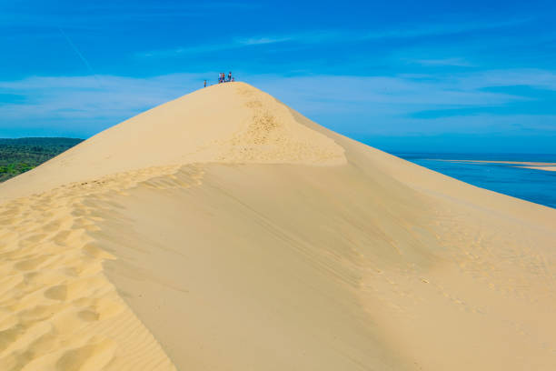 дюна дю пилат, самая большая песчаная дюна в европе, франция - steep outdoors nature forest стоковые фото и изображения