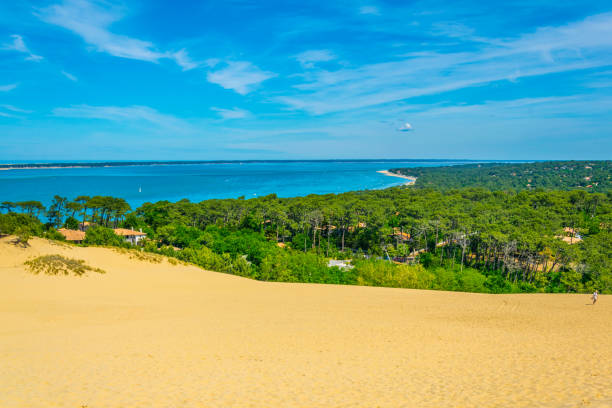 dune du pilat, największa wydma w europie, francja - 2861 zdjęcia i obrazy z banku zdjęć