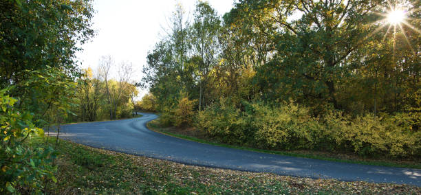istock Autumn landscape with road in the sunny day. 1055862348