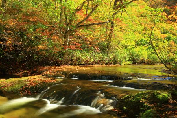 istock Autumn leaves valley 1055867560