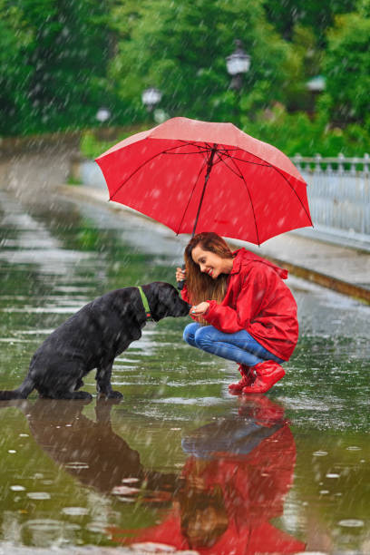 istock Woman with umbrella and dog 1055873148