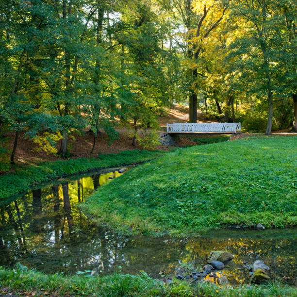 istock Small river in the park in the summertime. 1055874814