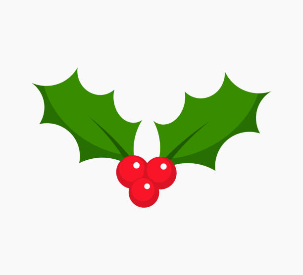 ilustraciones, imágenes clip art, dibujos animados e iconos de stock de icono de baya de acebo de navidad planta símbolo - mistletoe