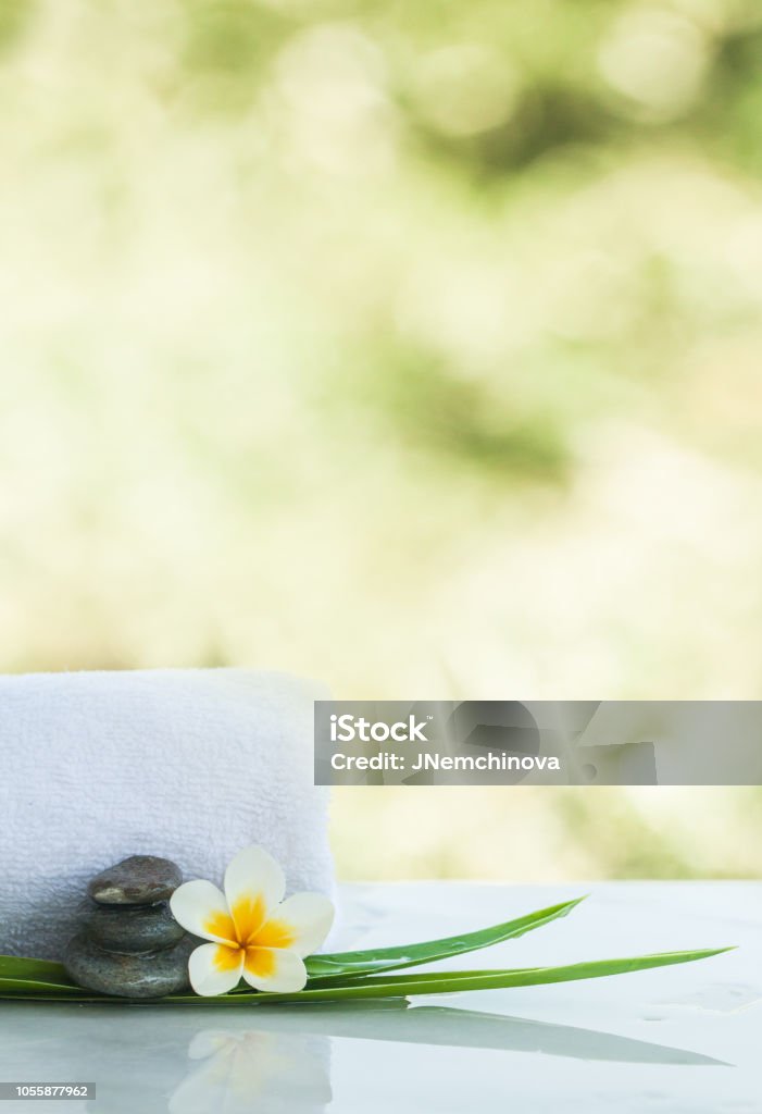 Flores Y Piedras Para Masaje Tratamiento Sobre Fondo Claro Blanco Foto de  stock y más banco de imágenes de Spa - iStock