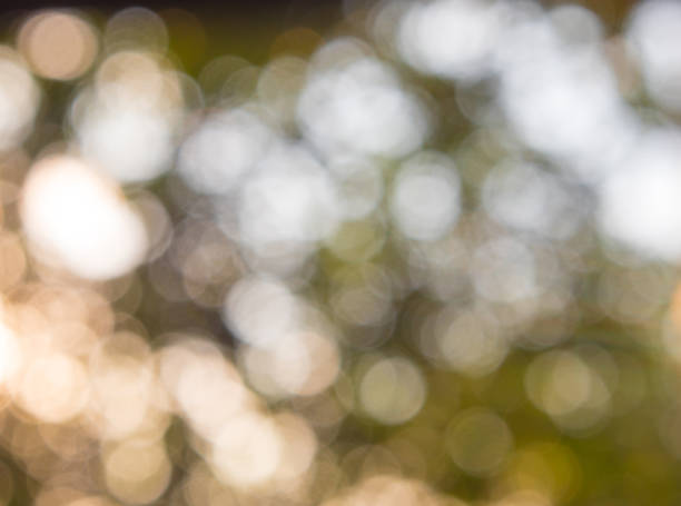 istock Trees and green leaves background in blur focus 1055878190