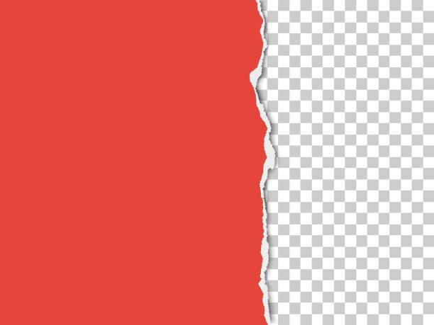 istock A piece of paper with the torn part on the right side. Vector template paper design. 1055878808