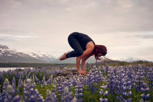 Crow pose on a meadow full of lupines