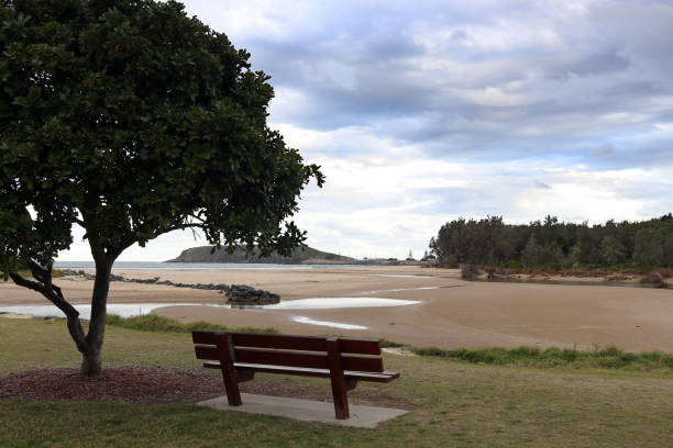 istock Seat under a tree overlooking Tidal flats Harbour and Mutton bird Island 1055879882