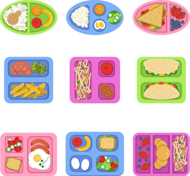 ilustraciones, imágenes clip art, dibujos animados e iconos de stock de cajas de almuerzo. envases de alimentos con pescado, huevos de harina rodajas de sándwich de verduras frutas frescas para el desayuno de los niños. planas ilustraciones vectoriales - tray lunch education food