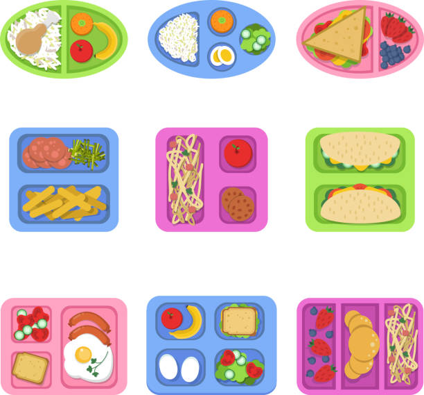 ilustrações de stock, clip art, desenhos animados e ícones de lunch boxes. food containers with fish, meal eggs sliced fresh fruits vegetables sandwich for kids breakfast. vector flat illustrations - tray lunch education food