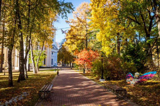 istock Leaf fall in the park in autumn with maples. 1055881468