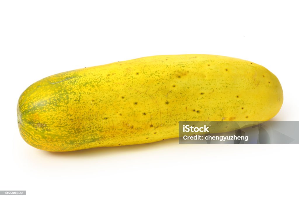 Old cucumber on a white background Asia Stock Photo