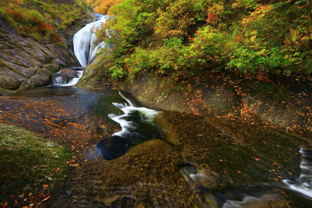 istock Autumn leaves valley 1055884352