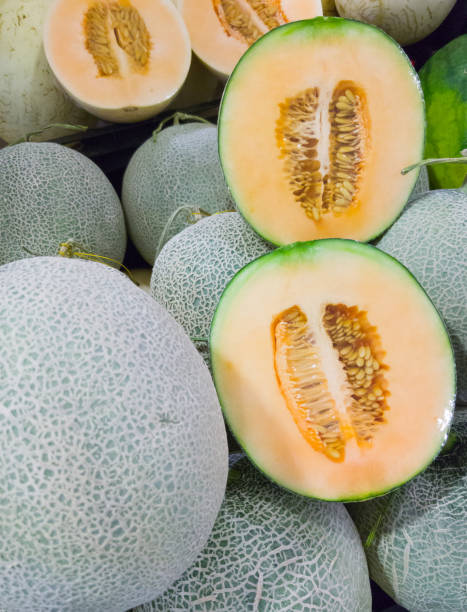 istock Fresh organic cantaloupe with the plastic wrap. 1055884914