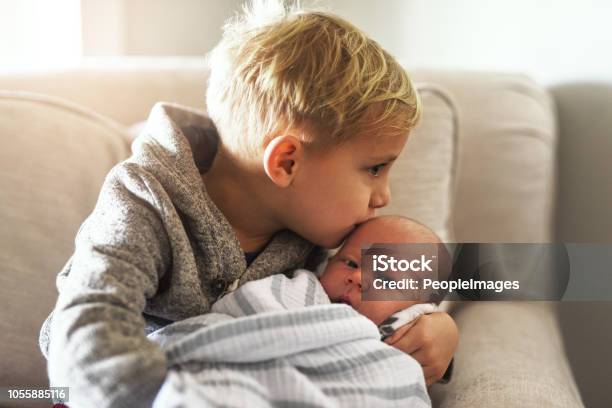 Too Much Cuteness Stock Photo - Download Image Now - Sibling, Brother, Life Events