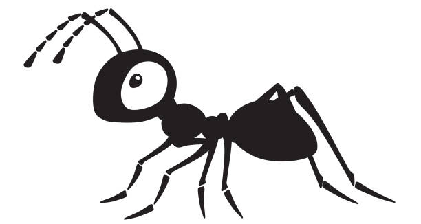 cartoon ant black and white cartoon ant insect . Side view black and white vector illustration ant stock illustrations