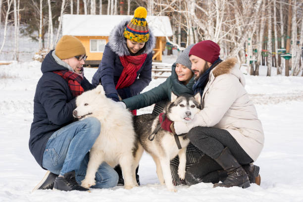 istock Four People Playing with Dogs in Winter 1055888292