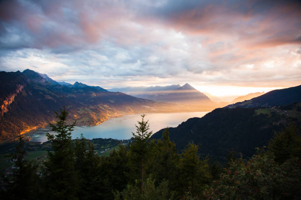 blick auf den sonnenuntergang von thun see in interlaken vom harder kulm beobachtung punkt in der schweiz - lake thun swiss culture switzerland berne stock-fotos und bilder