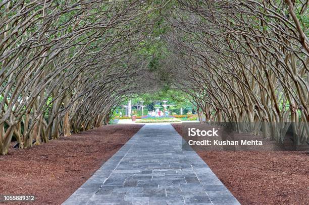 Walkway In Dallas Arboretum Stock Photo - Download Image Now - Dallas - Texas, Arboretum, Tree